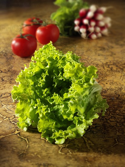 Batavia lettuce