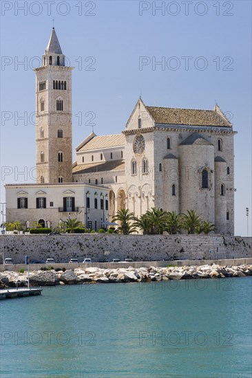 Cathedral of Trani