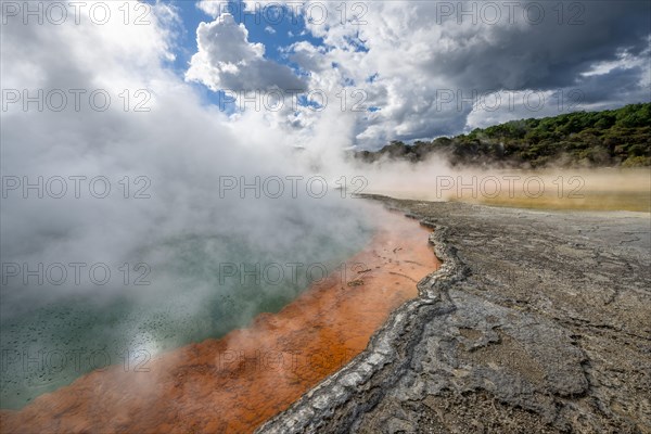 Champagne Pool