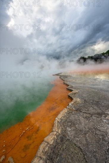 Champagne Pool