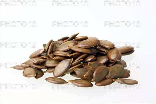 Pumpkin seeds from the Styrian Oil Pumpkin