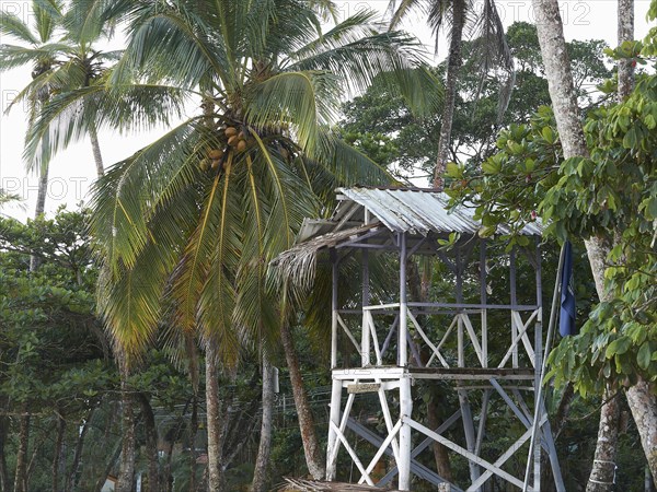 Lookout tower