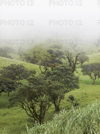 Fog clouded green mountain forest on the edge between the Pacific and Atlantic meteorological divides