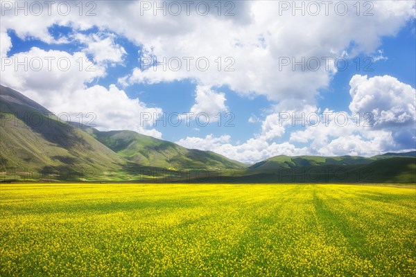 Plateau of Piano Grande