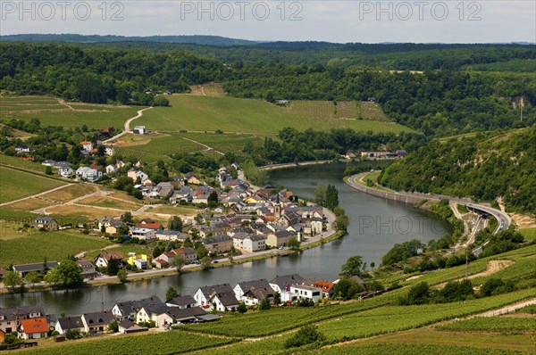 The town of Machtum on a loop of the Moselle river