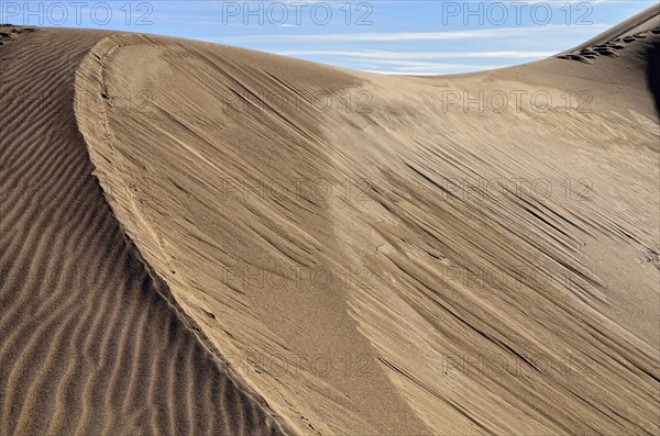 Dune crest