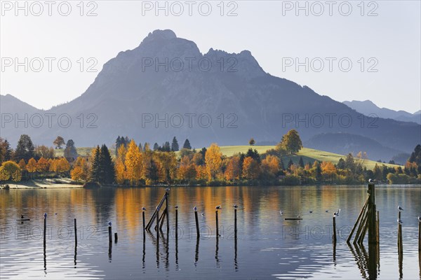 Hopfensee lake against Saeuling mountain