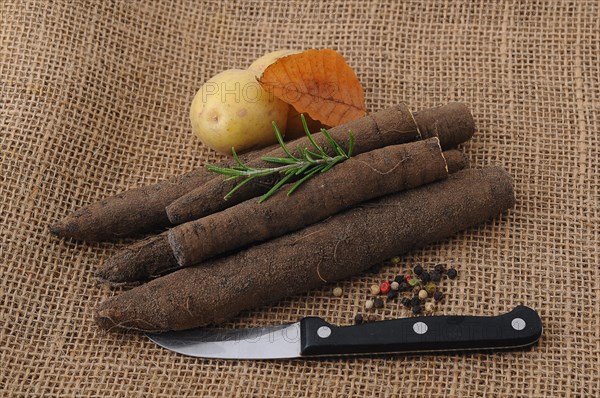 Salsify roots in a tin