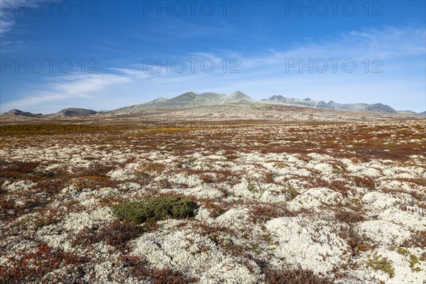 Autumnal tundral landscape in Rondane National Park