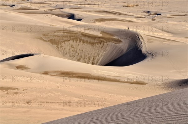 Dune landscape