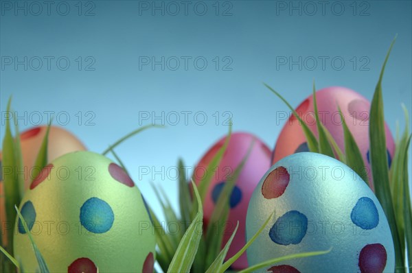 Painted Easter eggs in a meadow