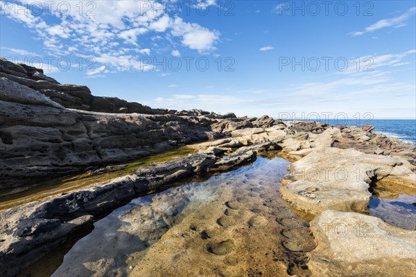 Rugged coastline with eroded sandstone on the Moray Firth at Tarbat Ness