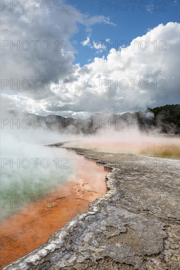 Champagne Pool