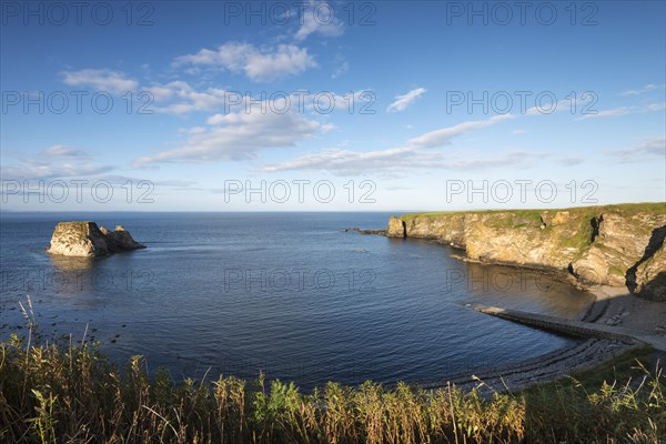 Cliff