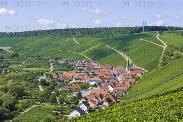 View of Escherndorf from Vogelsburg Castle on the Main River loop