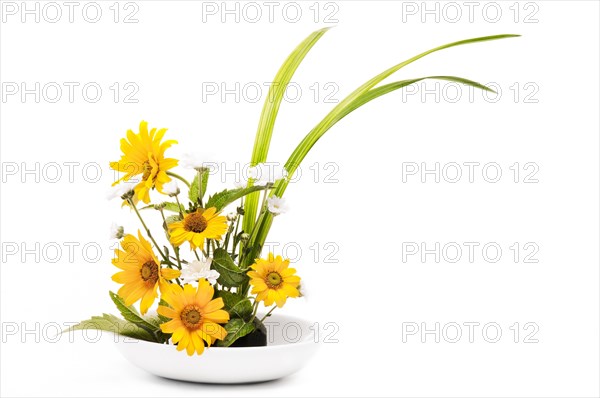 Japanese flower arrangement