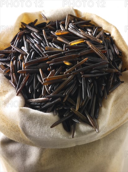 Wild Rice grains