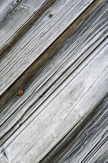 Old wood texture