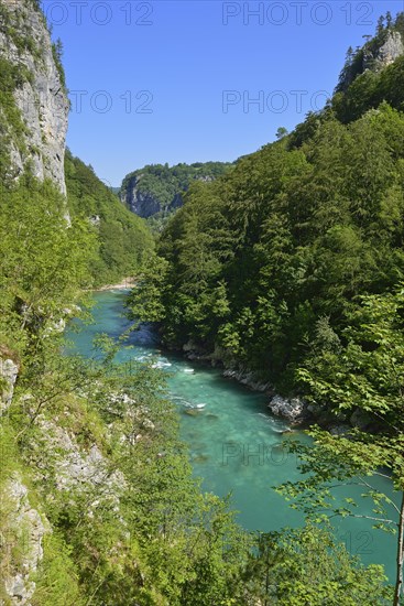 Tara river and canyon