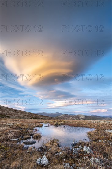 Autumnal Tundral landscape in Dovrefjell at evening mood