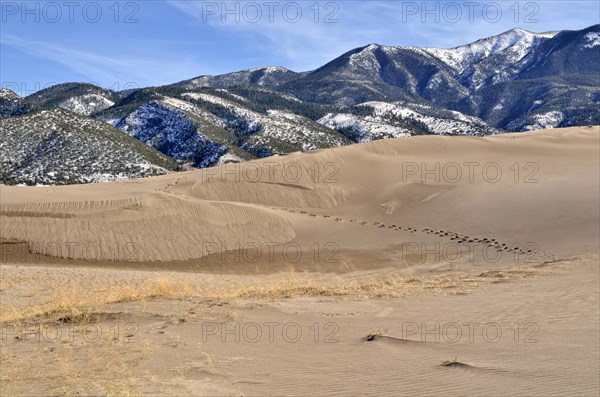 Great Sand Dunes National Park