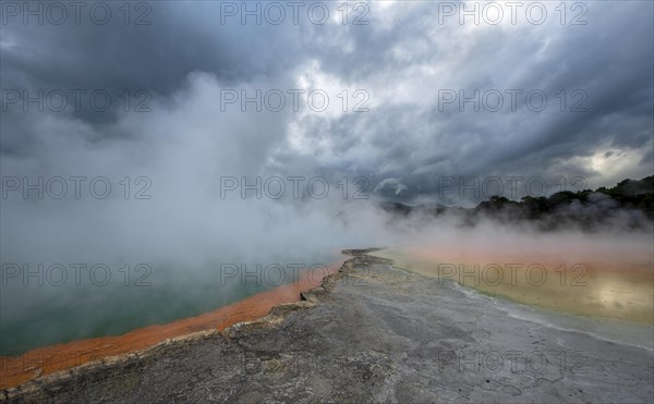 Champagne Pool