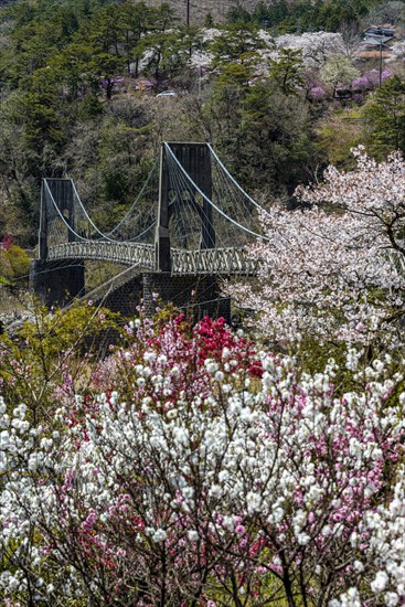 Momosuke Bridge