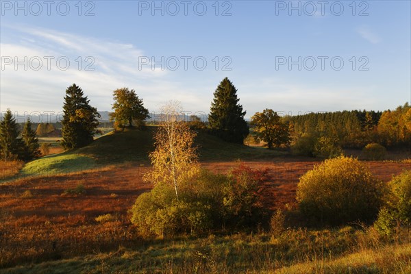 Landscape near the Osterseen lakes near Iffeldorf in the early morning