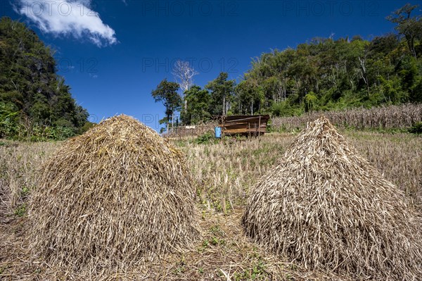 Haystacks