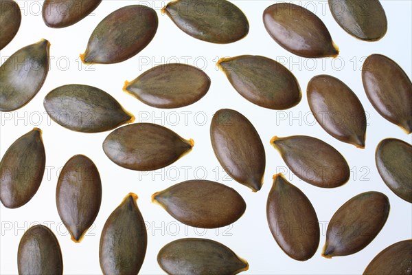 Pumpkin seeds from the Styrian Oil Pumpkin