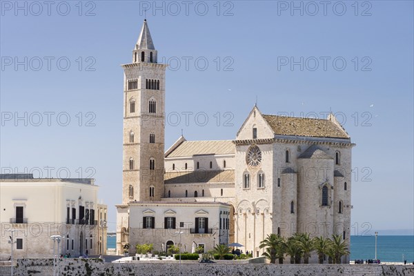 Cathedral of Trani