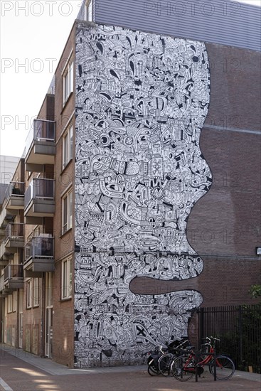 Graffiti on house facade in the form of a face