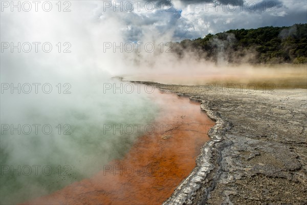 Champagne Pool