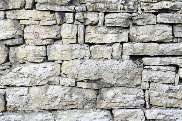 Old stone wall out of shell limestone