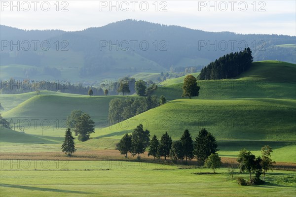 Morainic landscape