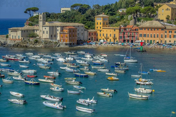 Sestri Levante