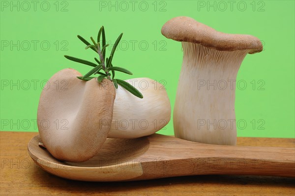 Two French horn mushrooms (Pleurotus eryngii) on a wooden spoon