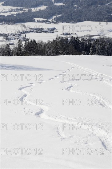 Skiing tracks