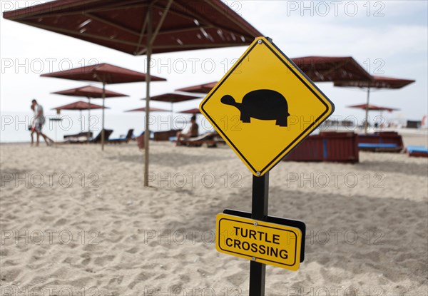 Yellow warning sign 'turtle crossing'