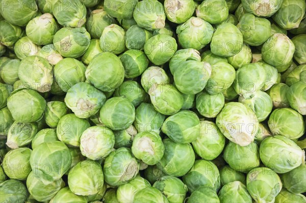 Raw Brussels sprouts