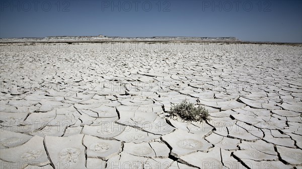 Steppe near Balkanabat