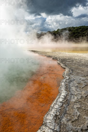 Champagne Pool