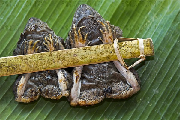 Two grilled frogs tied to a bamboo stick served on a banana leaf