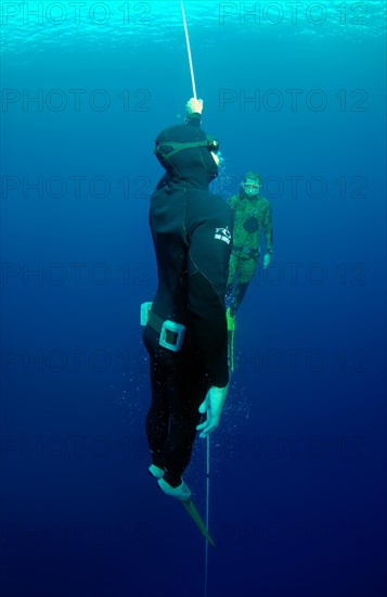 Freedivers