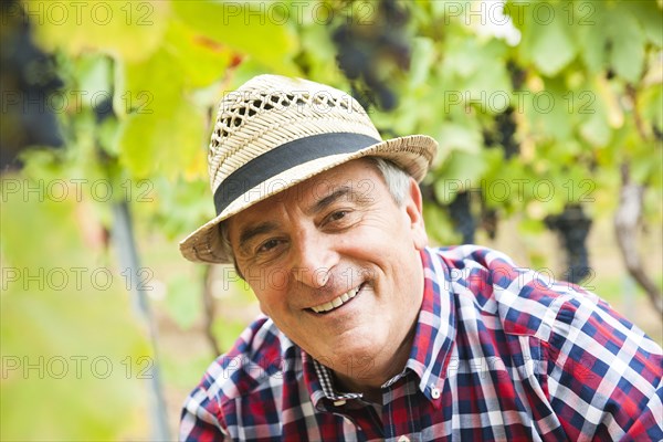 Portrait of a winemaker or vintner in his vineyard