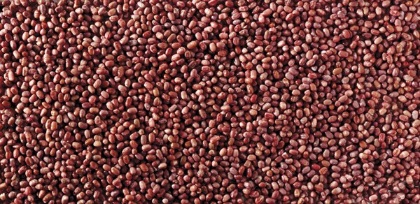 Azuki beans