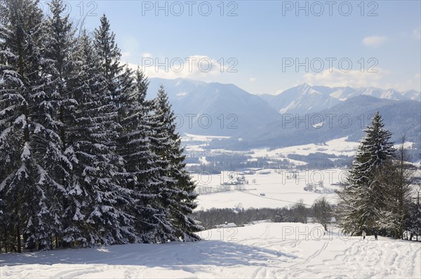 Skiing tracks