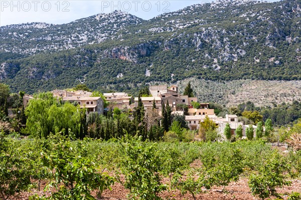 View of the village of Orient
