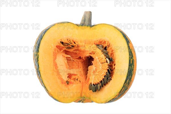 Styrian Oil Pumpkin