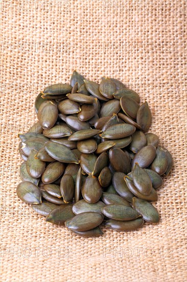 Pumpkin seeds from the Styrian Oil Pumpkin